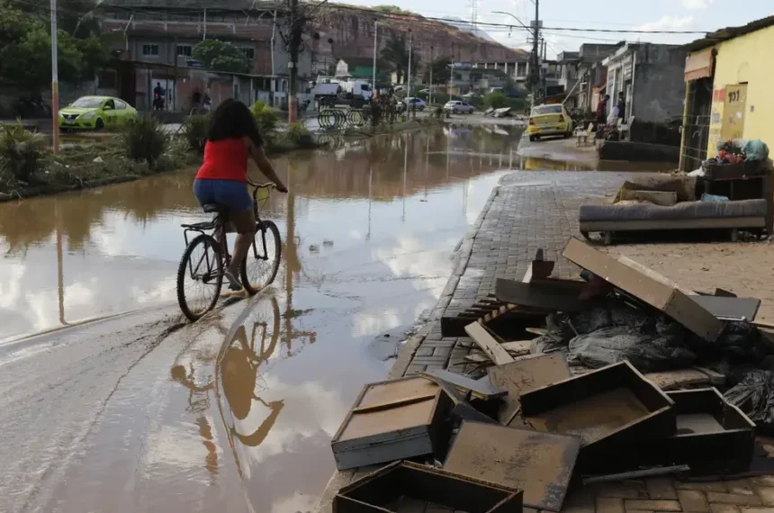 Racismo ambiental motiva cartilhas inéditas na UFABC