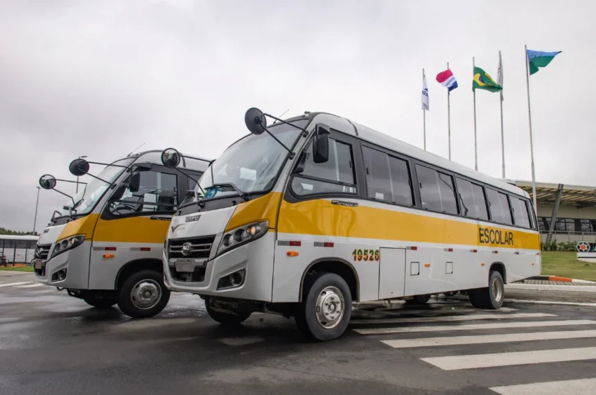 Volare transporte escolar