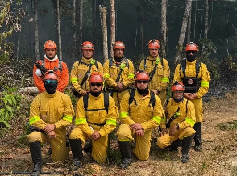 Bombeiros de São Paulo retornam da missão no Amazonas